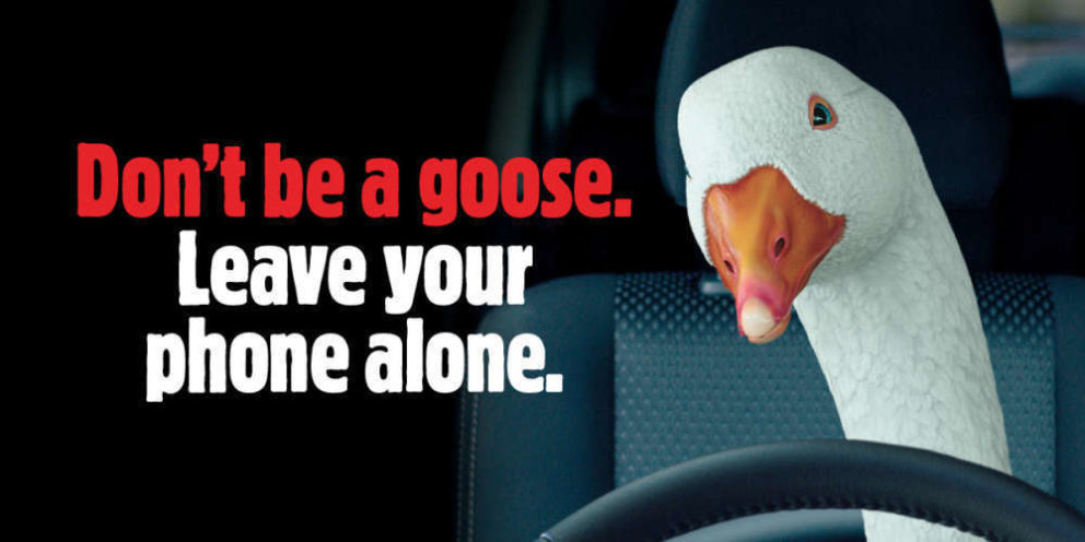 goose