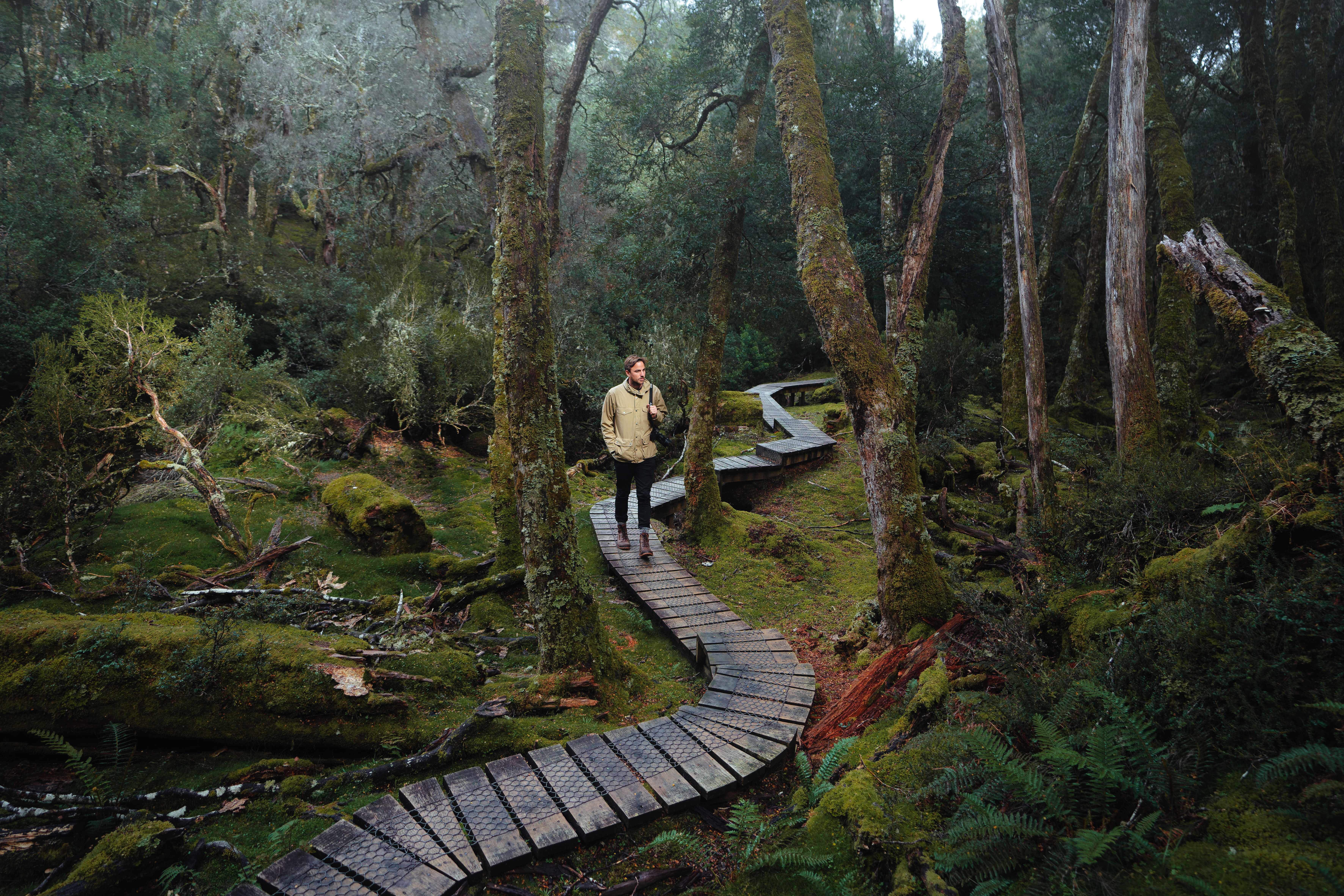 Cradle Mnt Walk